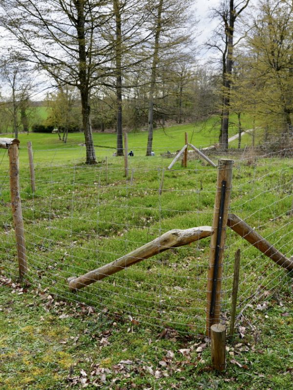 Un enclos en bois destiné à la pousse de jeunes arbres, Resonance Golf Collection
