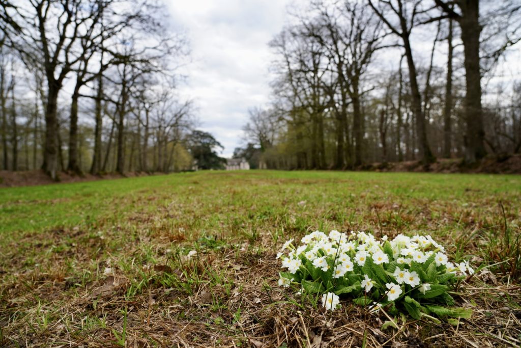 Respect de la faune et de la flore au Golf des Yvelines, Resonance Golf Collection